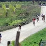 Il Paradiso Asciano