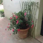 Farm stay Il Paradiso