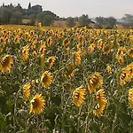 Il Paradiso Asciano