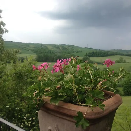 Il Paradiso