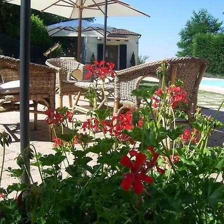 Il Paradiso